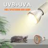 Светодиодная лампа для рептилий UVA UVB Маленький питомец Обогревающая лампа Террариумная лампа для черепахи ящерицы змеи