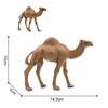 Реалистичная модель верблюда Solid Dromedary Bactrian Статическая игрушка Украшение Домашний декор