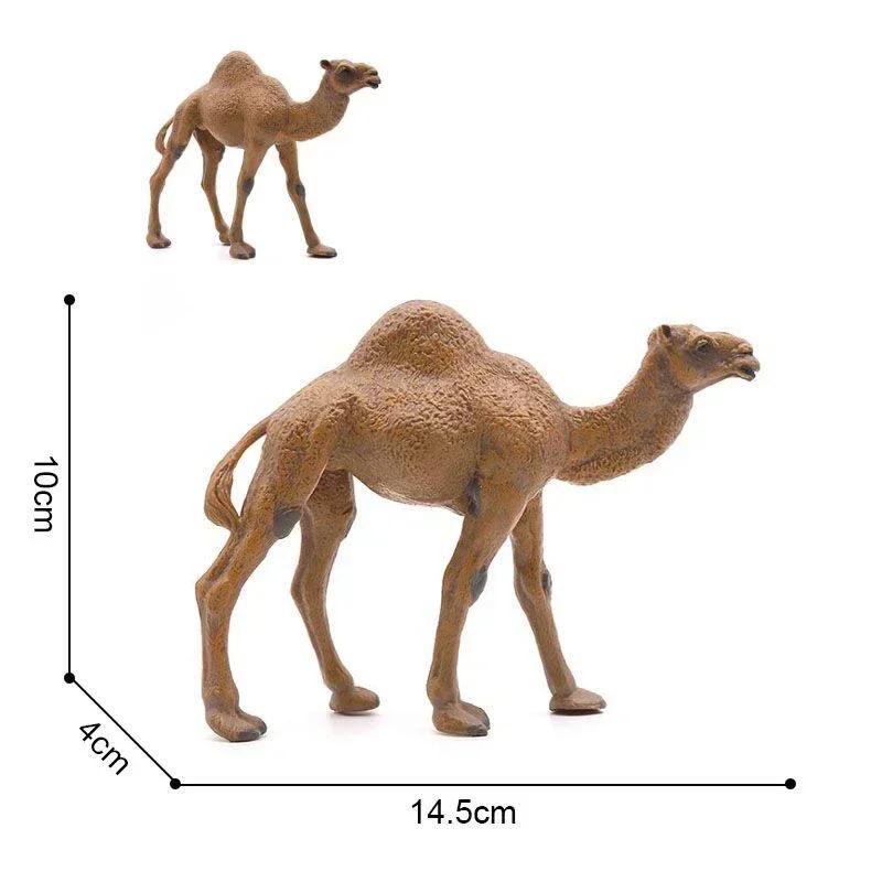 Реалистичная модель верблюда Solid Dromedary Bactrian Статическая игрушка Украшение Домашний декор