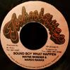 7-дюймовая пластинка WAYNE WONDER NARDO RANKS Sound Boy What Happen NONE Techniques Ямайка Регги Ска Даб Использованная