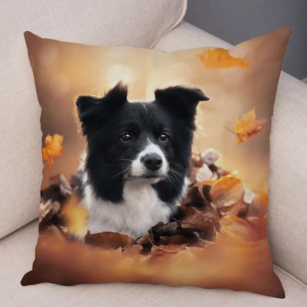 Soft Plush Cute Pet Animal Cushion Cover Scotland Border Collie Pillowcase for Sofa Car Decor Dog Printed Pillow Case