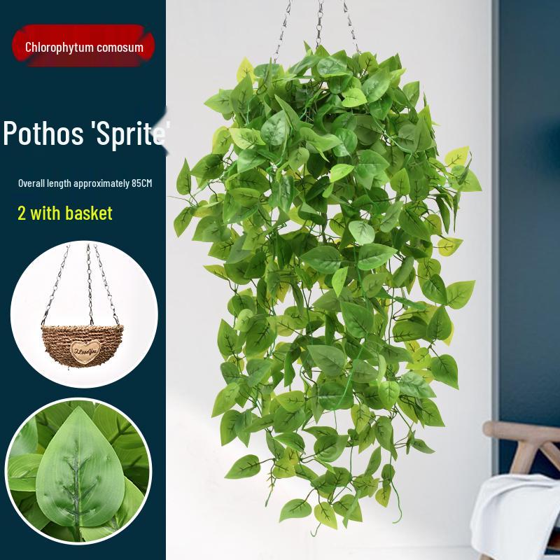 Artificial Green Plant Wall Décor - Rattan Hanging Vines with Pothos and Spider Plant for Indoor Living Room