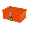 Tinplate Storage Tin with Keyed Lock, Metal Case for Jewelry, Medicine, Keys, and Small Items on Desk or Dresser