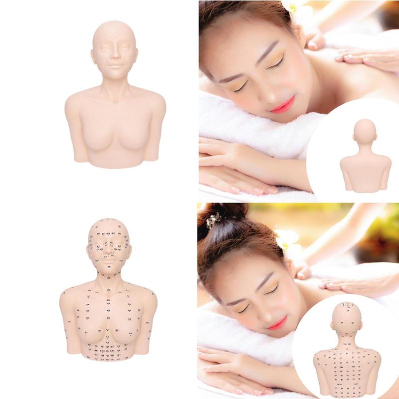 Training Mannequin Practice Face Head Shoulder with Acupoint Display Props Massage Practice Tool