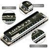 East Top Harmonica Blues Harmonica 13 Hole C Key Jazz Professional Adults Kids Study Practice Brass Cover Canvas Case Lucky13 (PowerDraw-C)