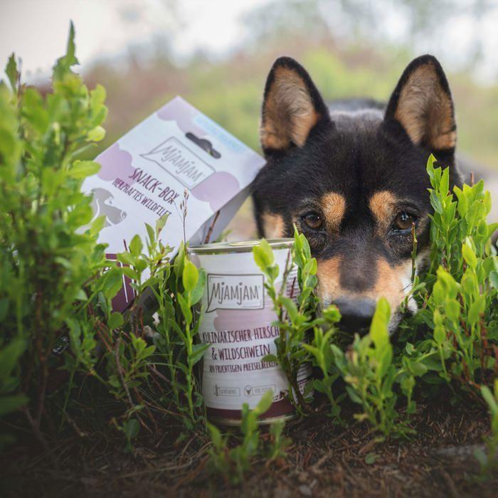 Влажный корм - MJAMJAM - Паштет - 97% мяса - Беззерновой - Для взрослой собаки