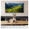 Поле Терраса Пейзаж Плакат Природа Картина Маслом Стены Искусства Холст Картины Современная Гостиная Украшения Дома Картина Куадрос