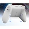 Wireless Gamepad Linear Trigger 0 Deadzone Flydigi Direwolf 2 Controller for NS Switch Mobile Phone Double Back Button