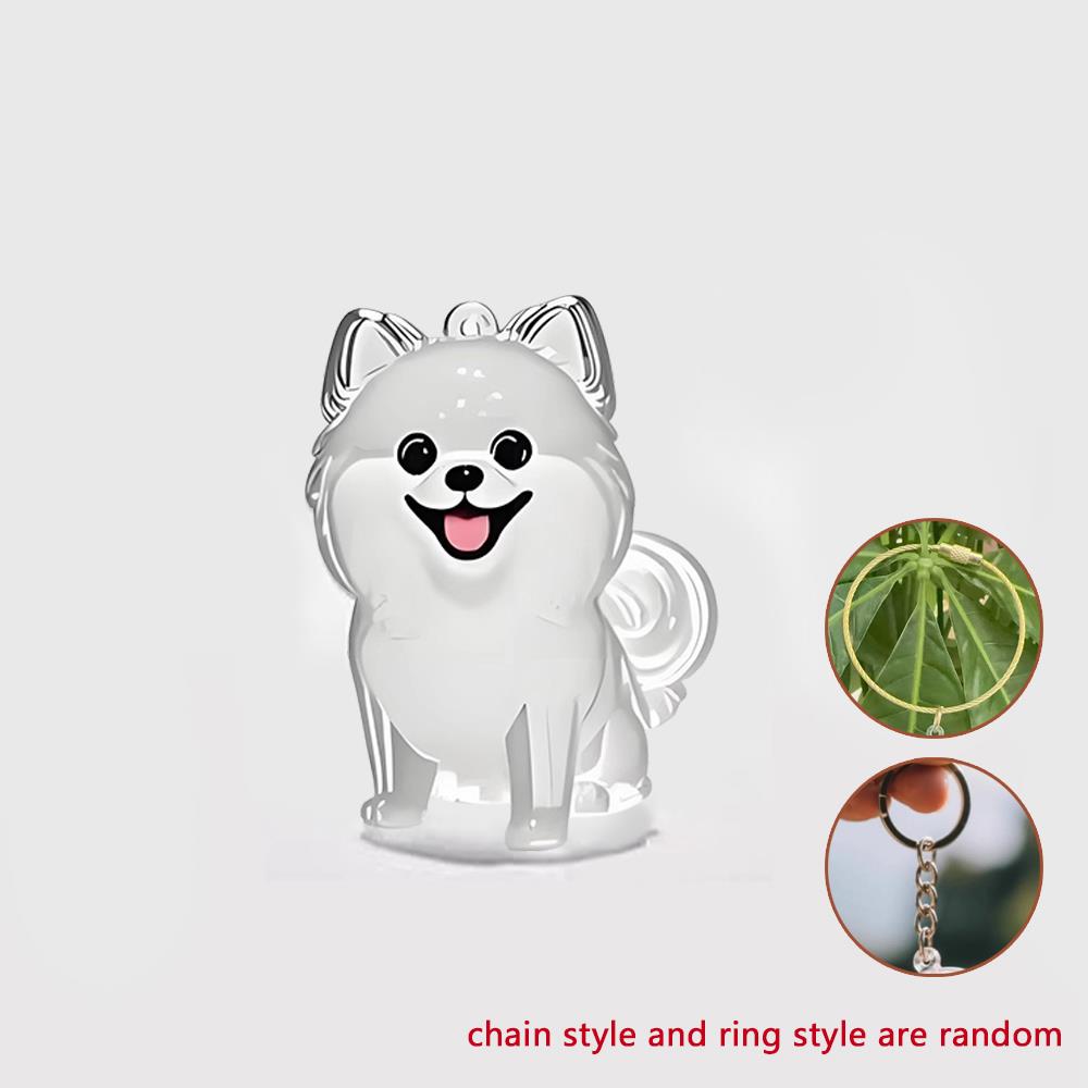 Portable Pet Hair Keepsake Memorial Bottle For Cat Fur Cat Hair Storage Box Pet Fur Keepsake Capsule DIY Transparent Fur Storage