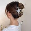 High End Chinese Style Hanfu Headwear Clip Back of The Head Curled Hair Tassels and Claw Clip Super Immortal Flower Temperament