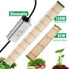 LED Quantum Grow Light Lighting 100-265V Power Plant Grow Lamp Full Spectrum Indoor Hydroponic Grow Light