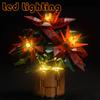 Led Lighting Kit For 10370 Creator Expert Botanical Collection Poinsettia Not Include Building Blocks