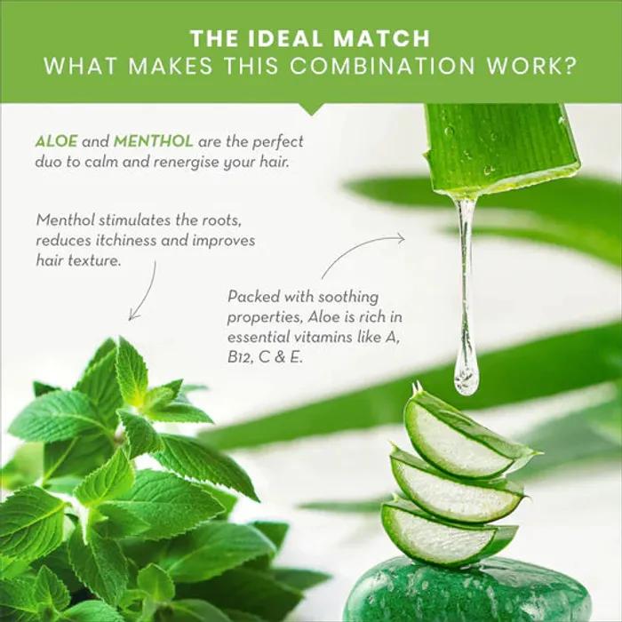 Wow Skin Science Aloe Vera Shampoo 250ml