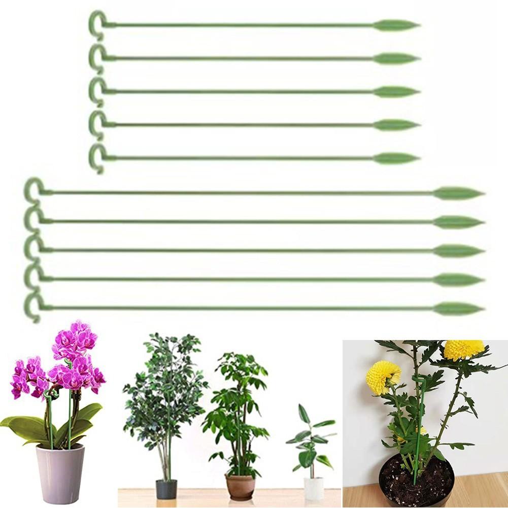 Подставка для цветов из шпалеры, опора для растений из стержня фаленопсиса