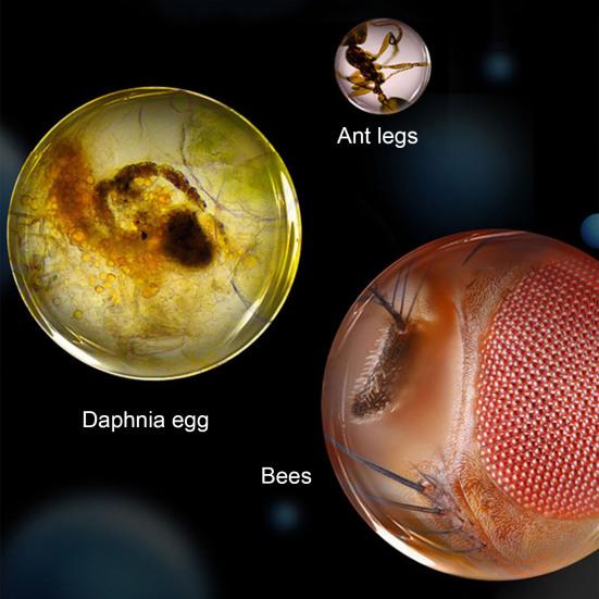 Детский игрушечный микроскоп со светодиодной подсветкой 60-180X биологический микроскоп для малышей портативный ручной