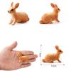 Rabbit Desktop Ornaments Simulated Zoo Rabbit Model Animal Figurine Home Decor Educational Toys