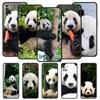 Чехол для телефона с изображением китайского медведя панды для OnePlus 10 9 Pro 9T 10R 9R 9RT 8T 8 7 6T 7T Nord 2T CE 2 5G N200 N10 N100, мягкий чехол