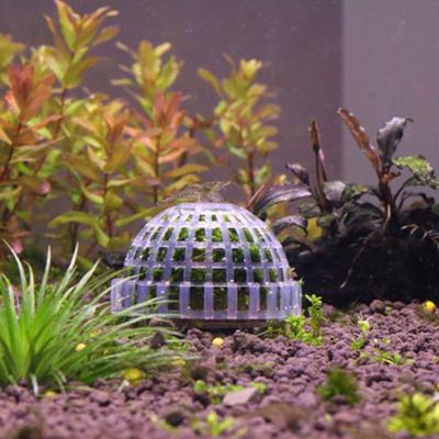 Moss Hemisphere Colonization Ball Aquarium Креветки Fish Tank Moss Balls Holder Freshwater Live
