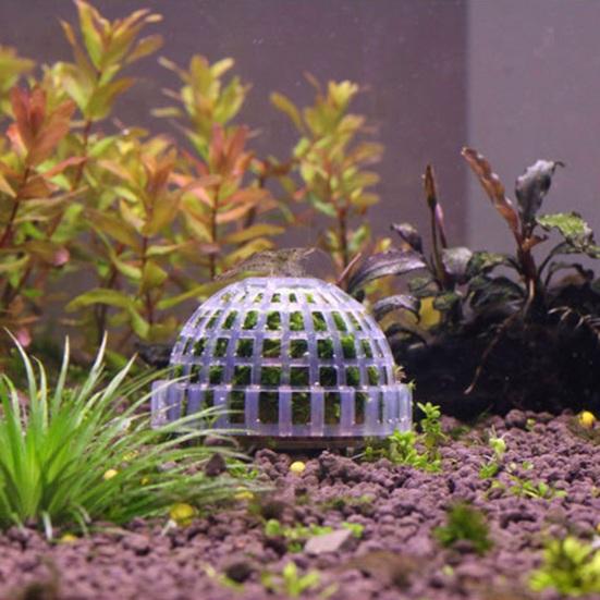 Moss Hemisphere Colonization Ball Aquarium Креветки Fish Tank Moss Balls Holder Freshwater Live