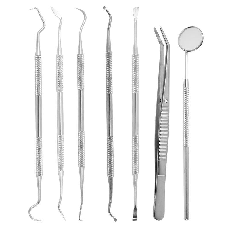 Dental Endoscope & Tool Set: Probes, Tweezers, Tartar Remover for Oral Care