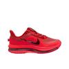 Nike Мужские красные кроссовки для бега Pegasus Premium Training HQ2592-601