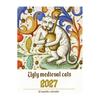 Decorative Office Calendar 2027 Wall Calendar, Monthly Planner with Metal Twin-Wire Binding for Professional Supplies Easy Page Turning And