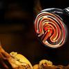 Material Keeping Warm Far Infrared Black Reptile Lamp Pet Warmer Bulb Heating Lamp Pet Brooder