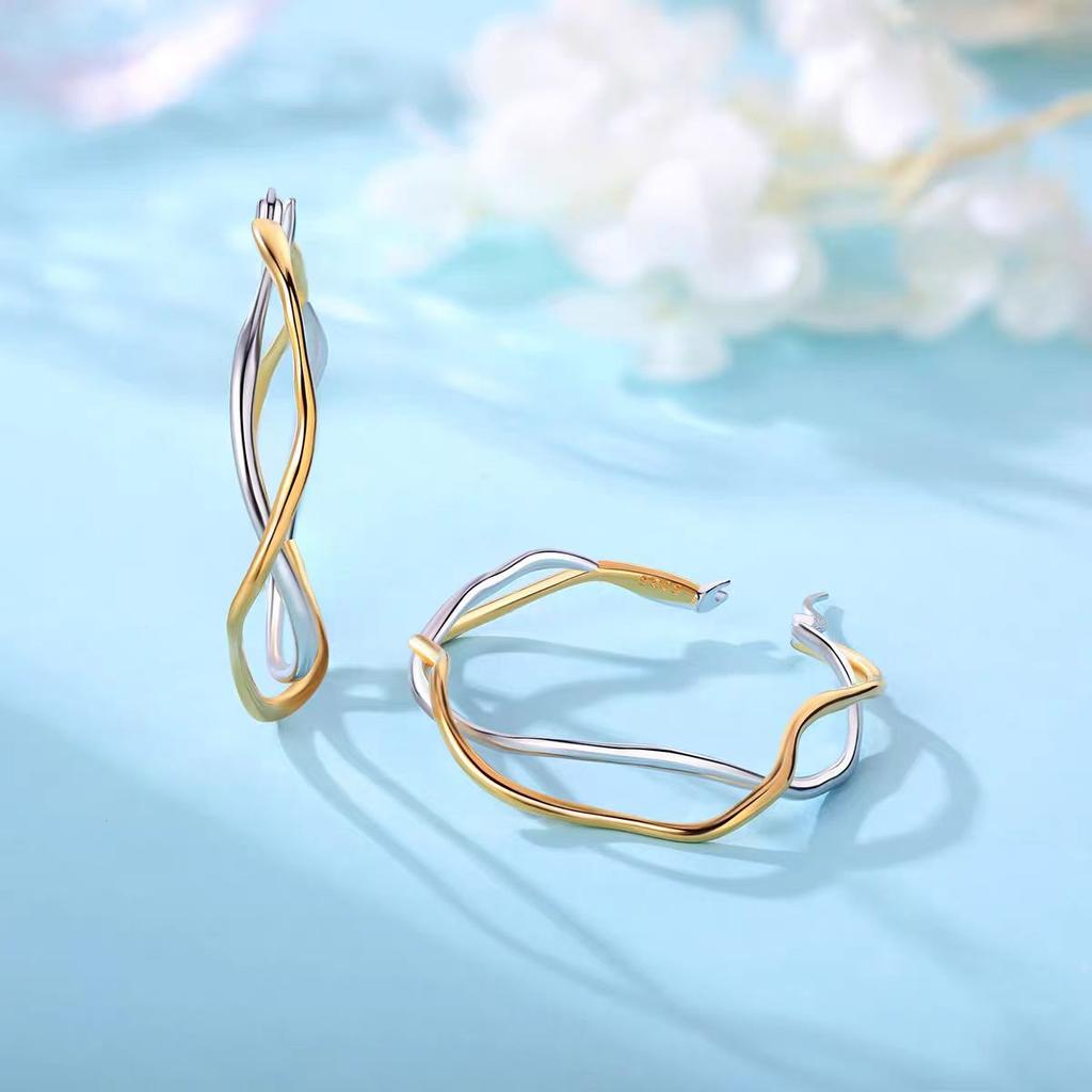 New Earrings DIy Style Earrings High-end Niche Design S925 Silver Earrings, Personalized Jewelry Gift