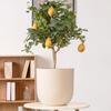 MOJY Round Magnesium Clay Planter