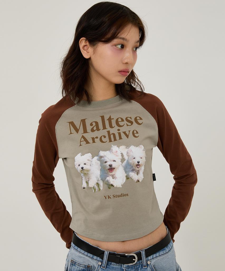 WAIKEI Maltese Archive Raglan Long Sleeve T-Shirt Mint