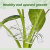 Plant Support Stakes Monstera Shaped Plant Stand, Acrylic Flower Shape Plant Growth Accessories for Indoor Outdoor Plants