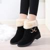 2025 Autumn and Winter Thick Heel Velvet Warm Snow Boots Women's Short Boots Wish Foreign Trade Fashion Simple Suede Thickened Cotton Shoes