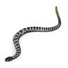 Realistic Snake Toys Rubber Rattlesnake Figure Static Lifelike Wildlife Figurine for Garden Kids
