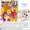 Autumn Leaf & Plant Specimen Bookmark with Dried Flowers and Lamination Film