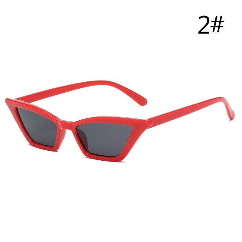 Trendy Women Cat Eye Design Sunglasses With Retro Small Eyeglass And Uv Protection
