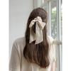 Chiffon Ribbon Scrunchie Jp-22-089S