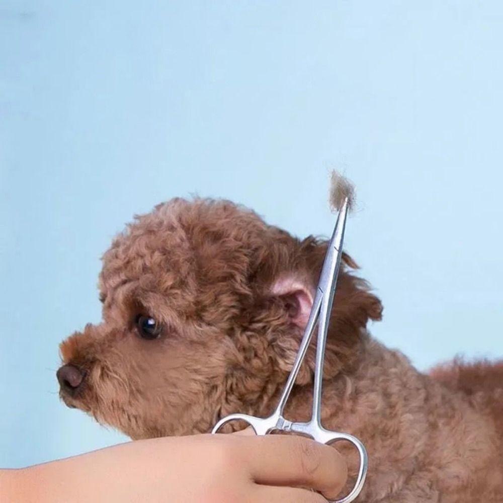 Tip Dog Grooming Scissors Trauma Shears Scissor Cat Surgical Forceps Pet Hemostatic Clip