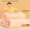 Warm Seven-Hole Antibacterial Winter Comforter