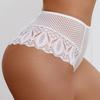 Sexy Mesh Women Lace Underwear Mid-Rise Briefs Hollow Out G String Underpant Solid Comfortable Female Breathable Lingerie