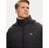 Куртка зимняя Tommy Jeans DM0DM20003
