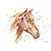Jennifer Rose Glorious Horse Framed Canvas Print