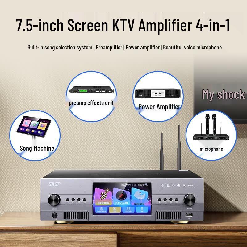 SAST LV-12 Pro Karaoke & Home Theater Audio System (CN version)