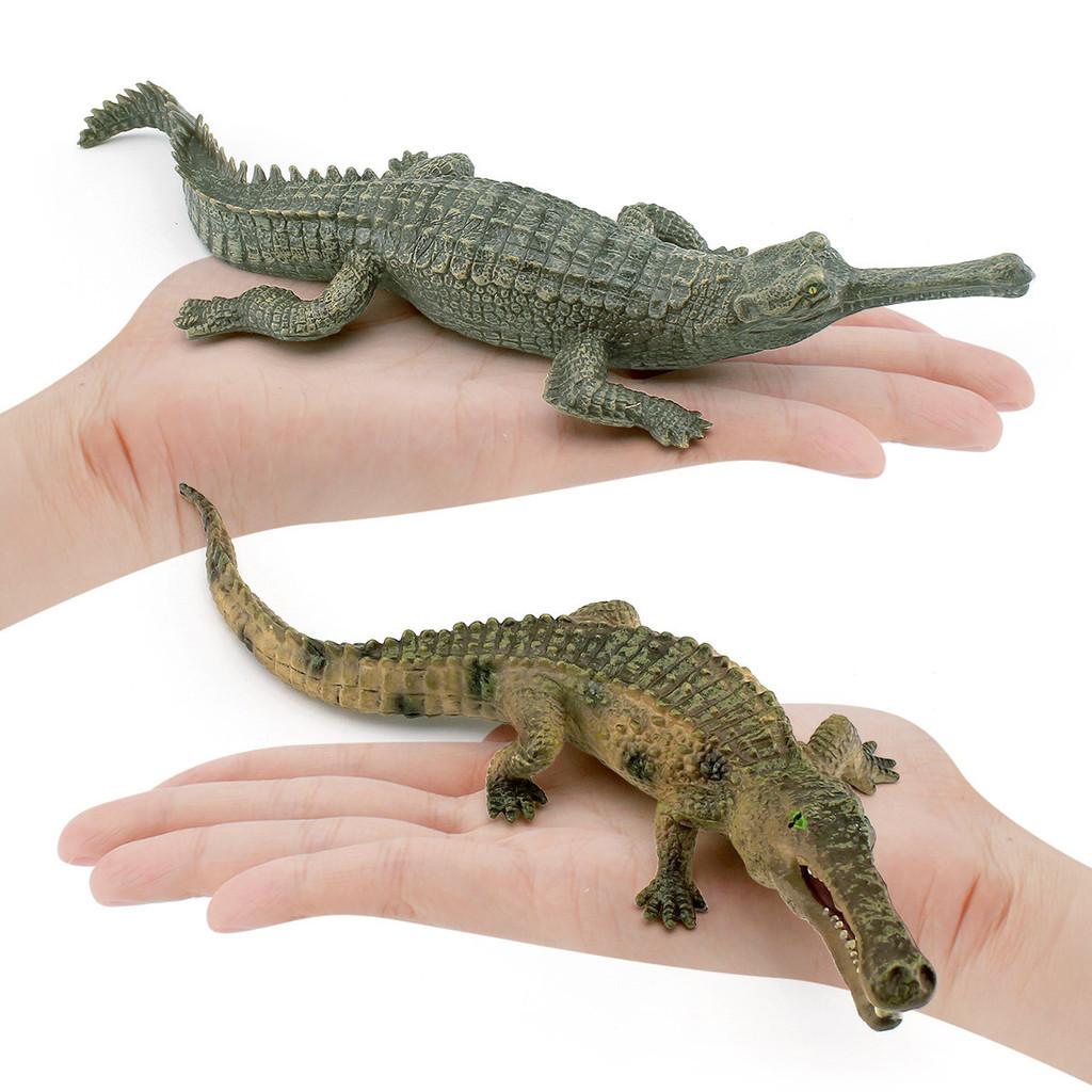 Crocodile Models Lifelike In Pvc Featuring Long Snouted And Emperor Crocodile Static Displays