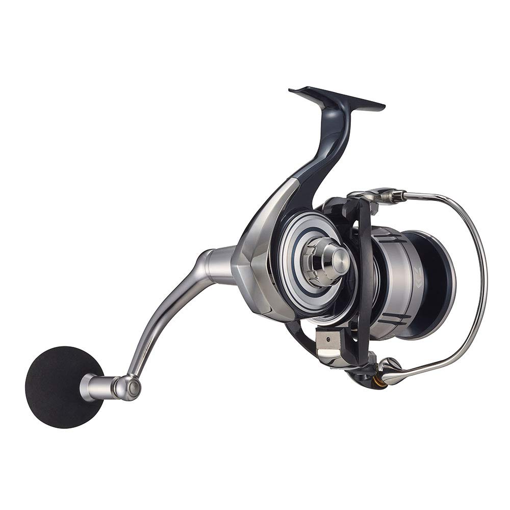 DAIWA 21 Сертификат SW 8000-P