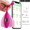 9 Speeds App Control Bluetooth Vibrator Vagina Ball Vibrating Egg Clitoris Stimulation Female Masturbation Sex Toys for Women