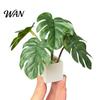 Dollhouse Accessories 1:6 Miniature Simulated Potted Plant, Realistic Artificial Greenery with White Square BJD Furniture Basin, Desktop for
