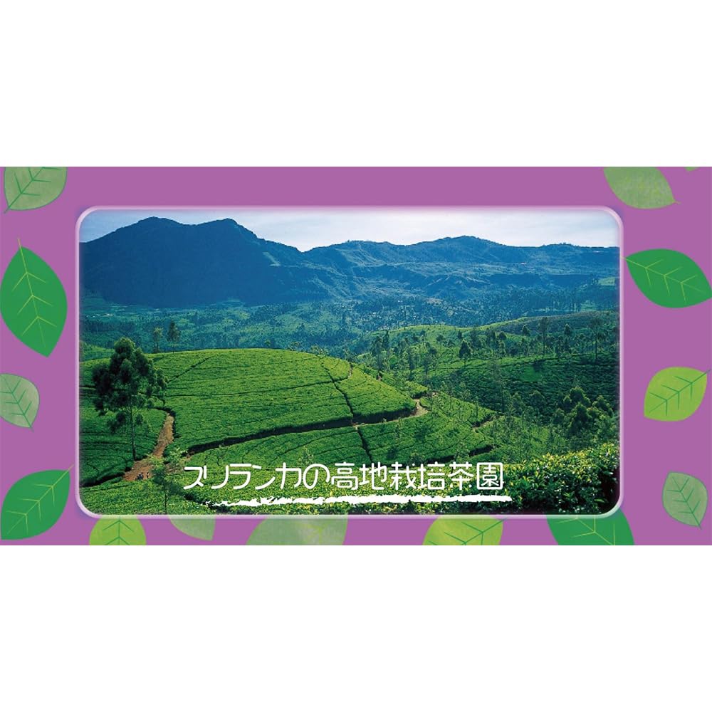 Avance Эрл Грей Черный чай Треугольные чайные пакетики 50 шт. x 6