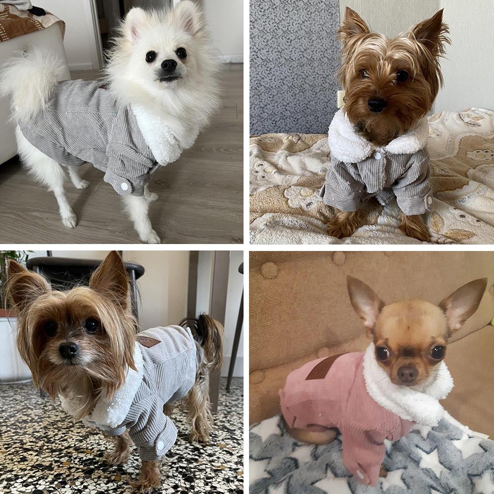 Осень Зима Одежда для домашних собак для маленьких средних собак Теплая куртка-пальто Утолщенное флисовое пальто Чихуахуа Йорки Одежда Одежда для питомцев