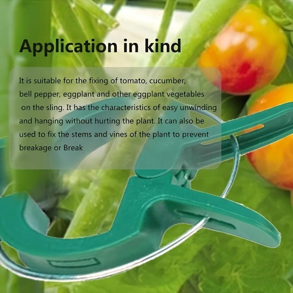 20/50pcs Plant Fixed Clips Reusable Garden Greenhouse Bracket for Fixed Plants Vine Flower Seedling Tomatoes Support Garden Tool