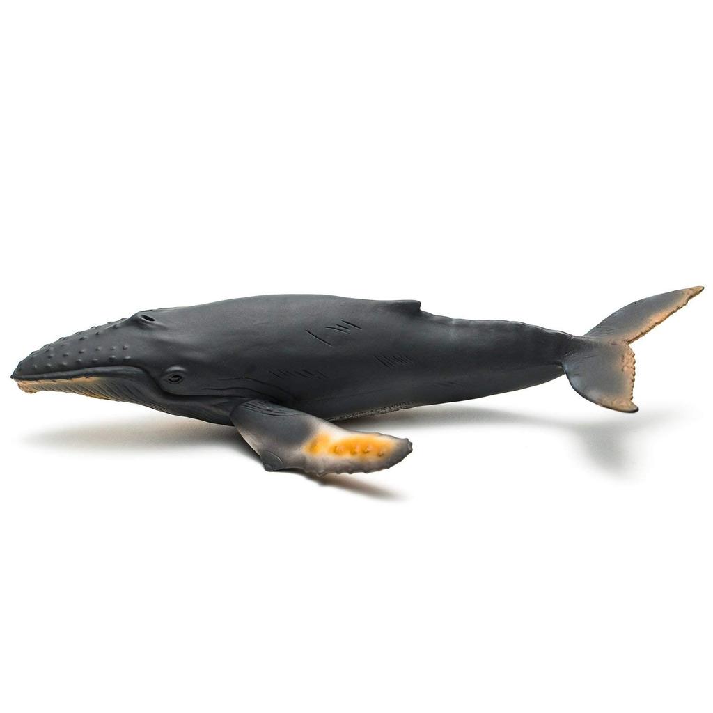 CollectA Humpback Whale Figure 88347